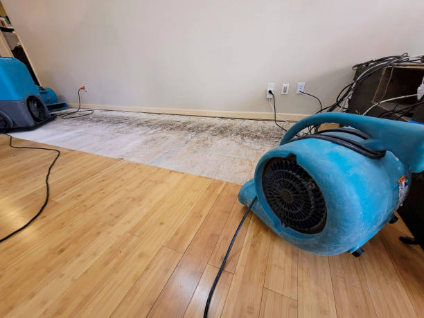Professional Structural Drying technician working in Five Points, FL